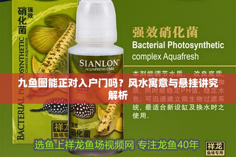 九魚圖能正對(duì)入戶門嗎？風(fēng)水寓意與懸掛講究解析 九魚圖能正對(duì)入戶門嗎？風(fēng)水寓意與懸掛講究解析 龍魚百科 第1張
