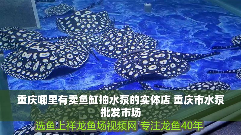 重慶哪里有賣魚缸抽水泵的實體店 重慶市水泵批發市場