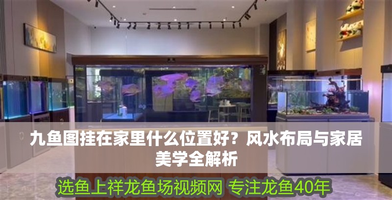 九魚圖掛在家里什么位置好?風(fēng)水布局與家居美學(xué)全解析 龍魚百科 第1張 九魚圖掛在家里什么位置好?風(fēng)水布局與家居美學(xué)全解析 九魚圖掛在家里什么位置好?風(fēng)水布局與家居美學(xué)全解析 龍魚百科 第1張