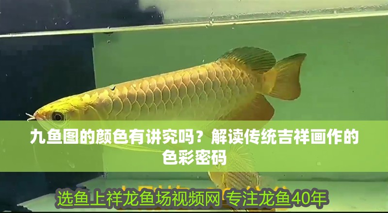 九魚圖的顏色有講究嗎？解讀傳統(tǒng)吉祥畫作的色彩密碼