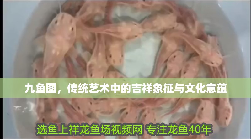 九魚圖，傳統藝術中的吉祥象征與文化意蘊