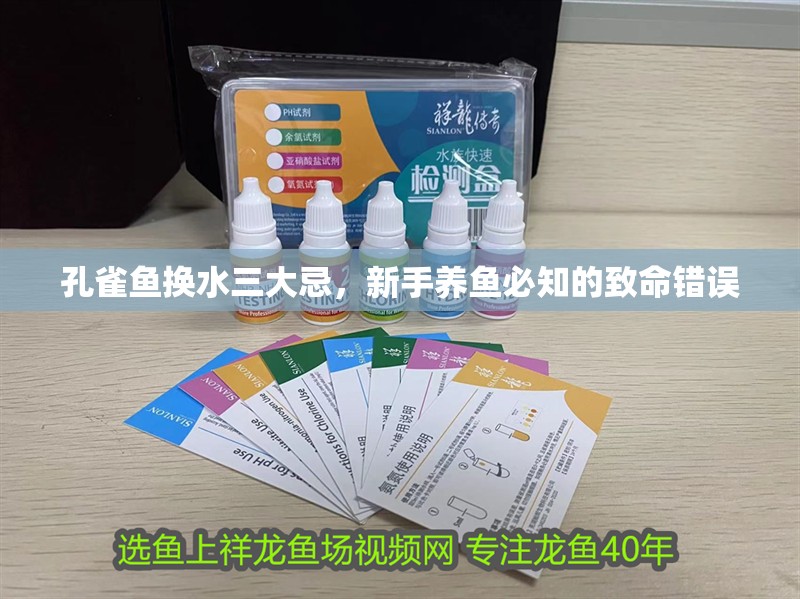 孔雀魚換水三大忌，新手養(yǎng)魚必知的致命錯誤 孔雀魚換水三大忌，新手養(yǎng)魚必知的致命錯誤 龍魚百科 第1張