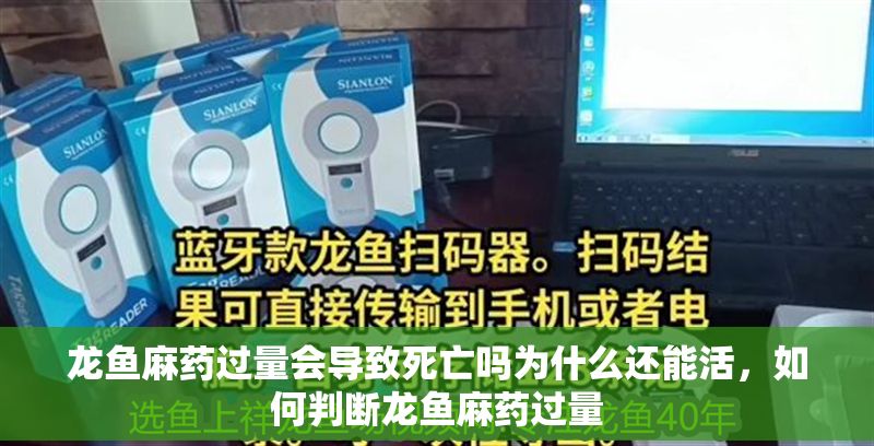 龍魚麻藥過量會導致死亡嗎為什么還能活，如何判斷龍魚麻藥過量