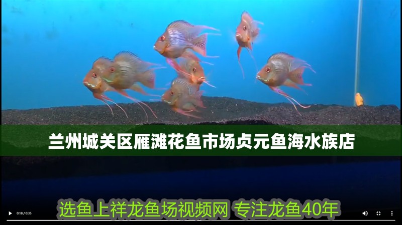 蘭州城關區雁灘花魚市場貞元魚海水族店