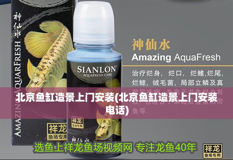 北京魚缸造景上門安裝(北京魚缸造景上門安裝電話)
