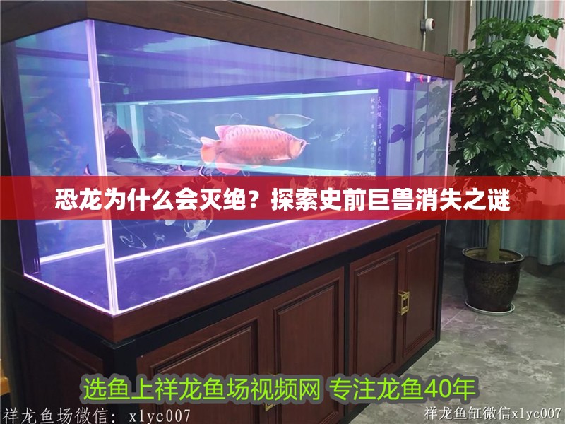 恐龍為什么會滅絕？探索史前巨獸消失之謎