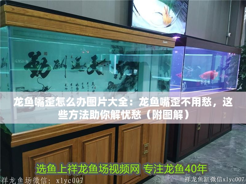 龍魚嘴歪怎么辦圖片大全：龍魚嘴歪不用愁，這些方法助你解憂愁（附圖解）