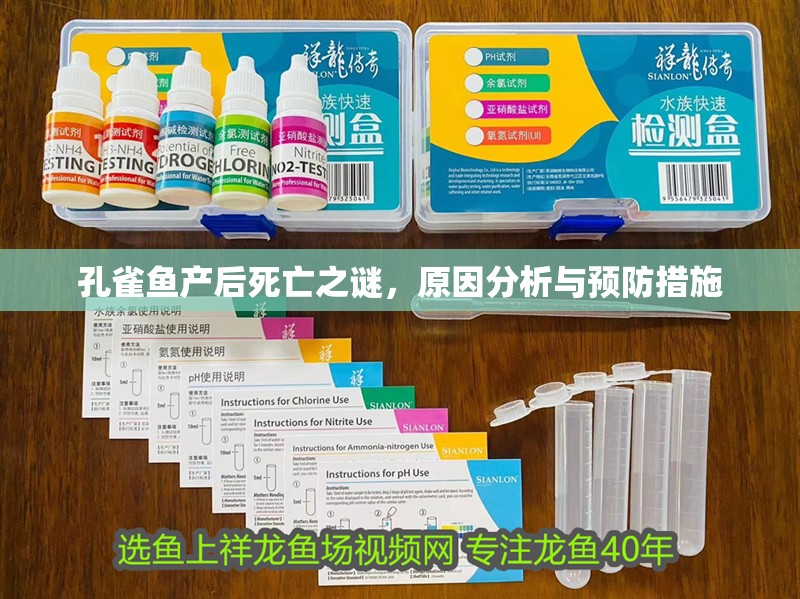 孔雀魚產后死亡之謎，原因分析與預防措施