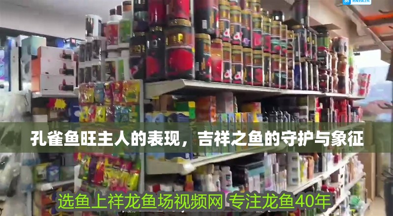 孔雀魚旺主人的表現，吉祥之魚的守護與象征