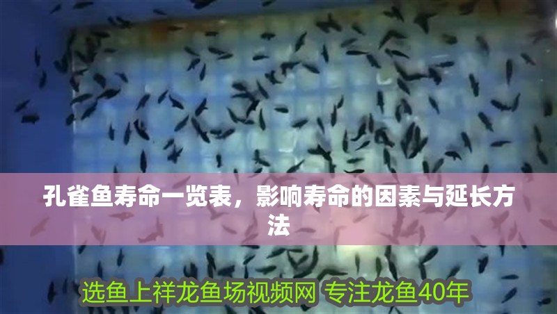 孔雀魚壽命一覽表,影響壽命的因素與延長方法 龍魚百科 第1張 孔雀魚壽命一覽表,影響壽命的因素與延長方法 孔雀魚壽命一覽表,影響壽命的因素與延長方法 龍魚百科 第1張