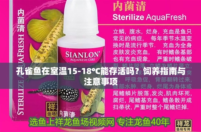 孔雀魚在室溫15-18℃能存活嗎？飼養指南與注意事項