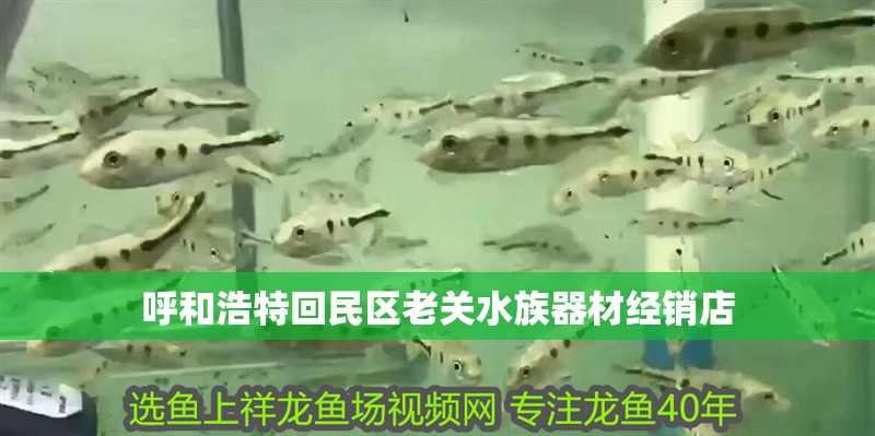 呼和浩特回民區老關水族器材經銷店