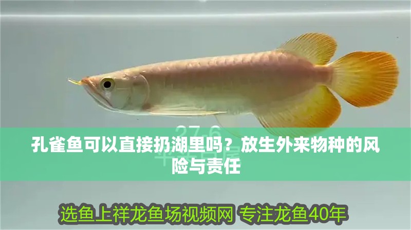 孔雀魚可以直接扔<strong><mark>湖里</mark></strong>嗎？放生外來物種的風險與責任