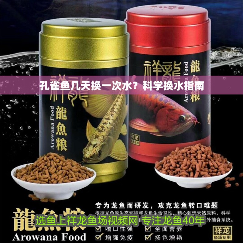孔雀魚幾天換一次水？科學換水指南