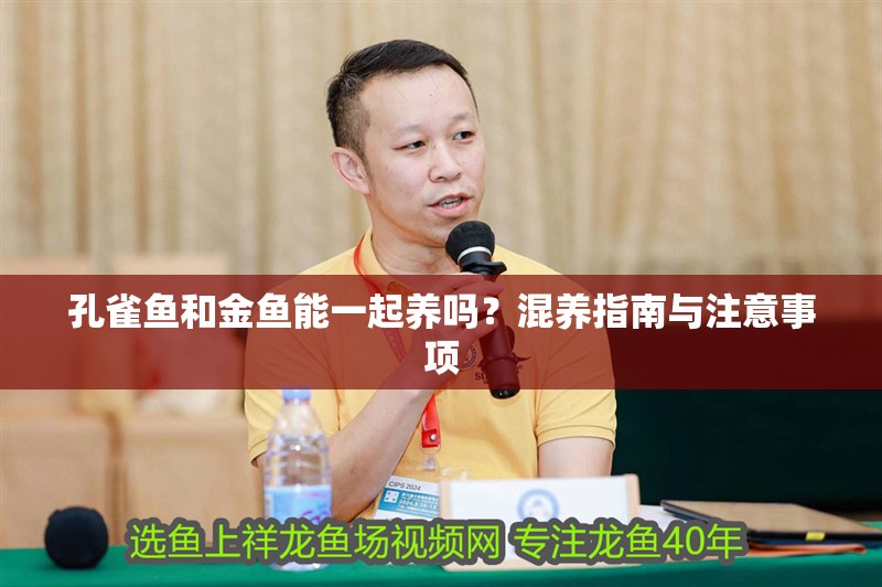 孔雀魚和金魚能一起養嗎？混養指南與注意事項