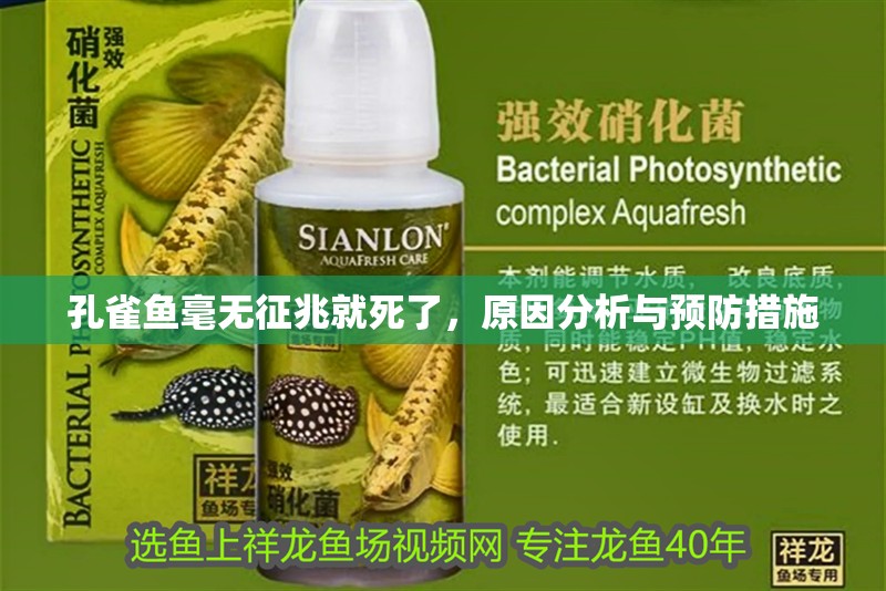 孔雀魚毫無征兆就死了，原因分析與預防措施