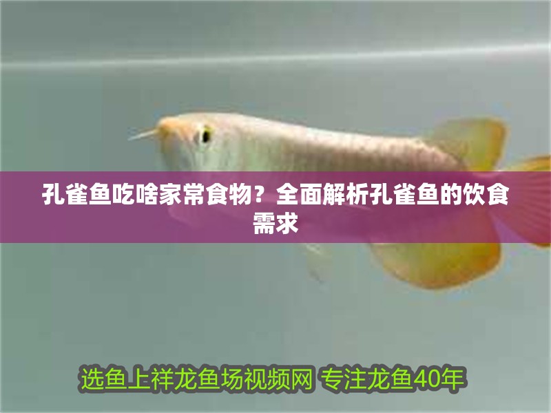 孔雀魚(yú)吃啥家常食物？全面解析孔雀魚(yú)的飲食需求 孔雀魚(yú)吃啥家常食物？全面解析孔雀魚(yú)的飲食需求 龍魚(yú)百科 第1張