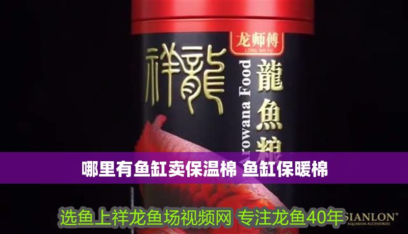 哪里有魚缸賣保溫棉 魚缸保暖棉 哪里有魚缸賣保溫棉 魚缸保暖棉 龍魚百科 第1張