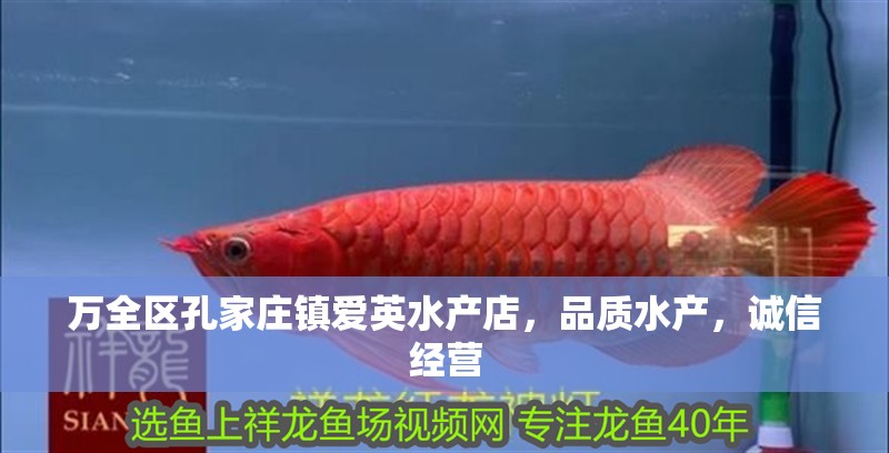 萬全區孔家莊鎮愛英水產店，品質水產，誠信經營
