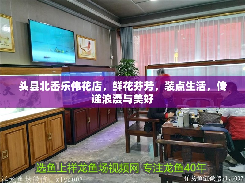 頭縣北岙樂偉花店，鮮花芬芳，裝點生活，傳遞浪漫與美好