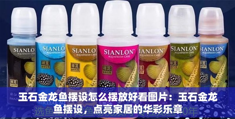 玉石金龍魚擺設怎么擺放好看圖片：玉石金龍魚擺設，點亮家居的華彩樂章