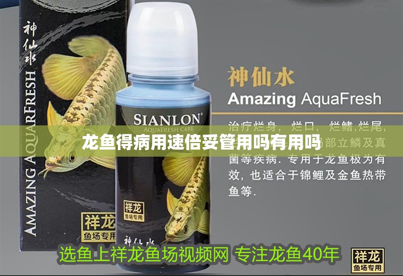 龍魚得病用速倍妥管用嗎有用嗎