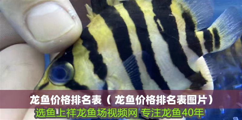 龍魚價格排名表（ 龍魚價格排名表圖片） 龍魚價格排名表（ 龍魚價格排名表圖片） 龍魚百科 第1張