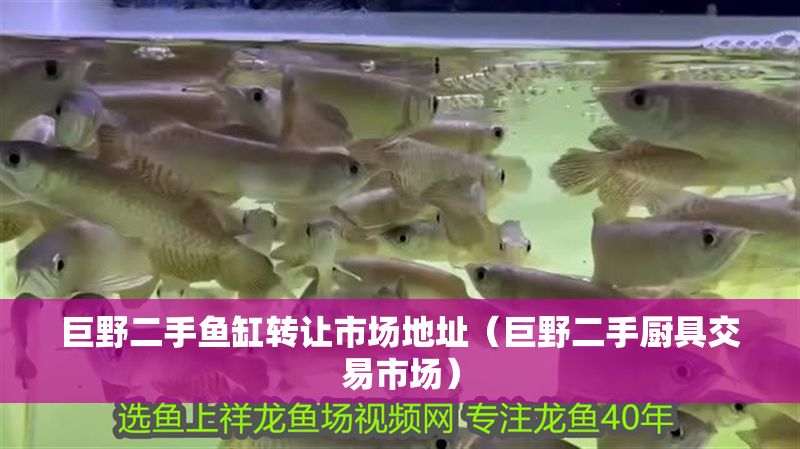 巨野二手魚缸轉讓市場地址（巨野二手廚具交易市場）