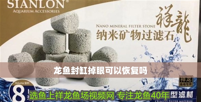 龍魚封缸掉眼可以恢復(fù)嗎