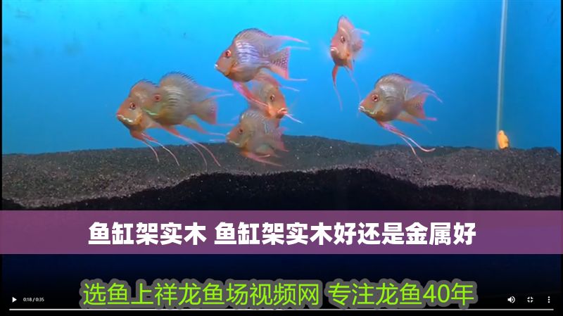 魚缸架實木 魚缸架實木好還是金屬好