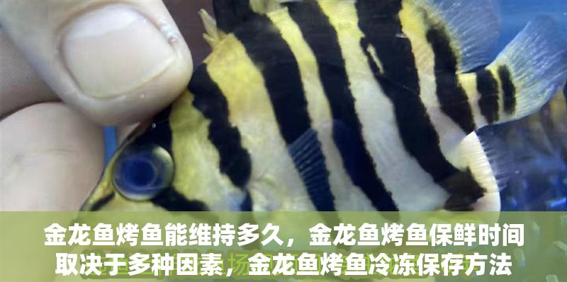 金龍魚烤魚能維持多久，金龍魚烤魚保鮮時間取決于多種因素，金龍魚烤魚冷凍保存方法