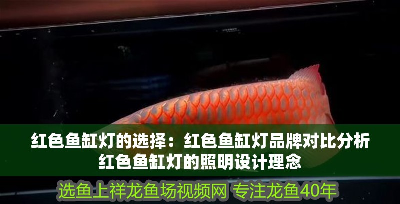 紅色魚缸燈的選擇：紅色魚缸燈品牌對比分析紅色魚缸燈的照明設計理念
