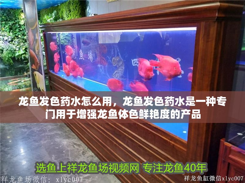 龍魚發色藥水怎么用，龍魚發色藥水是一種專門用于增強龍魚體色鮮艷度的產品
