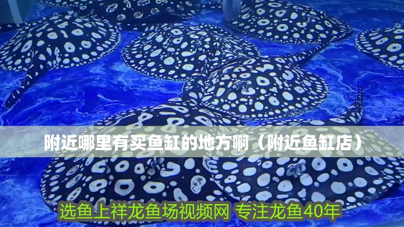 附近哪里有買魚缸的地方?。ǜ浇~缸店） 附近哪里有買魚缸的地方?。ǜ浇~缸店） 全國水族館企業(yè)名錄 第1張