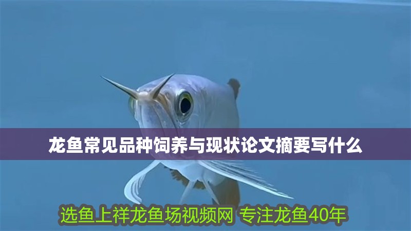 龍魚常見品種飼養(yǎng)與現(xiàn)狀論文摘要寫什么