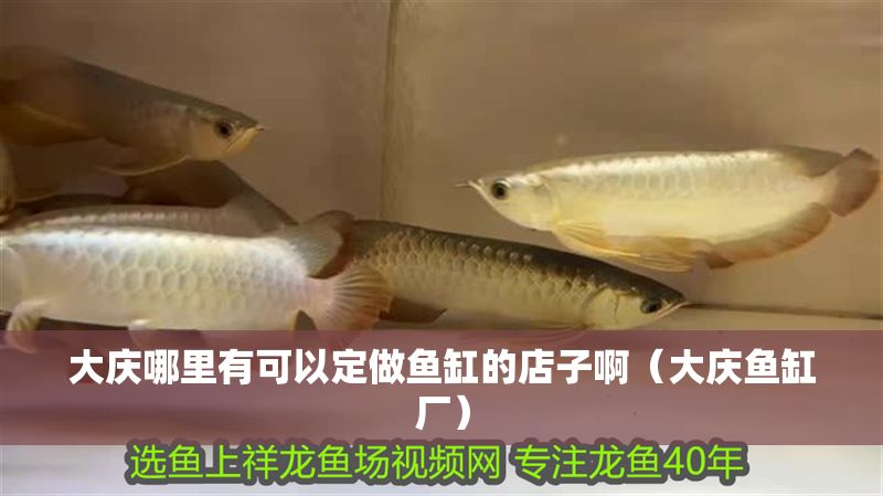 大慶哪里有可以定做魚缸的店子啊(大慶魚缸廠)