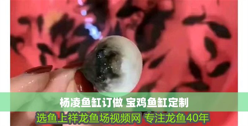 楊凌魚缸訂做 寶雞魚缸定制 楊凌魚缸訂做 寶雞魚缸定制 龍魚百科 第1張