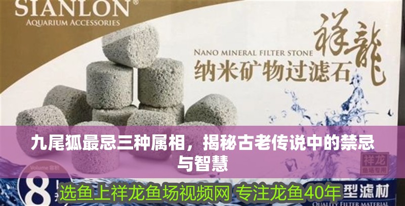 九尾狐最忌三種屬相，揭秘古老傳說中的禁忌與智慧