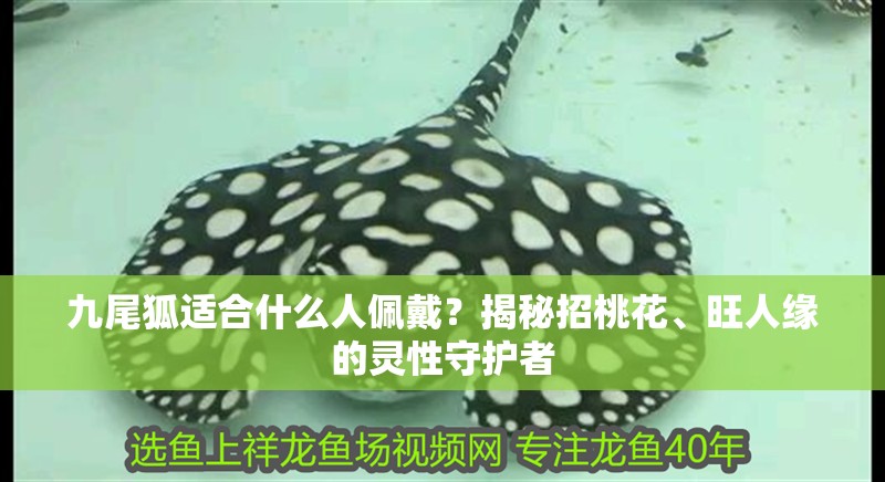 九尾狐適合什么人佩戴?揭秘招桃花、旺人緣的靈性守護者 龍魚百科 第1張 九尾狐適合什么人佩戴?揭秘招桃花、旺人緣的靈性守護者 九尾狐適合什么人佩戴?揭秘招桃花、旺人緣的靈性守護者 龍魚百科 第1張