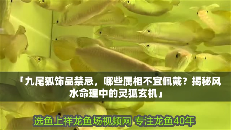 「九尾狐飾品禁忌，哪些屬相不宜佩戴？揭秘風水命理中的靈狐玄機」