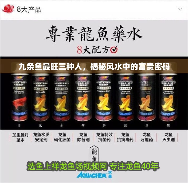 九條魚最旺三種人，揭秘風(fēng)水中的富貴密碼