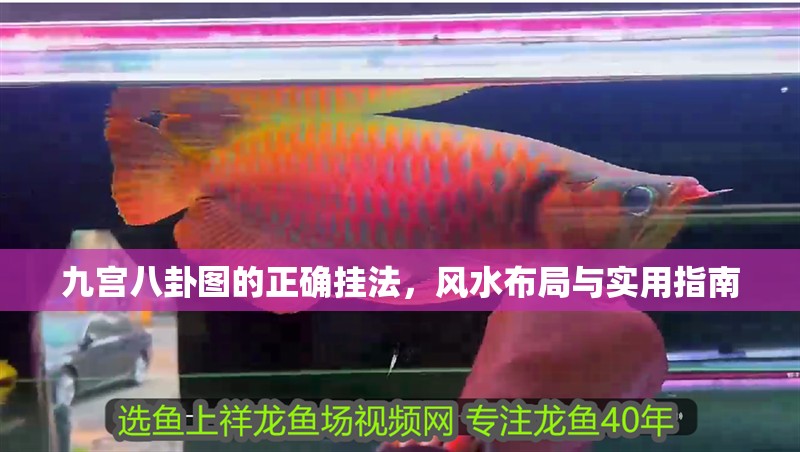 九宮八卦圖的正確掛法，風水布局與實用指南