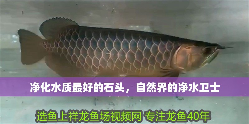 凈化水質最好的石頭，自然界的凈水衛士