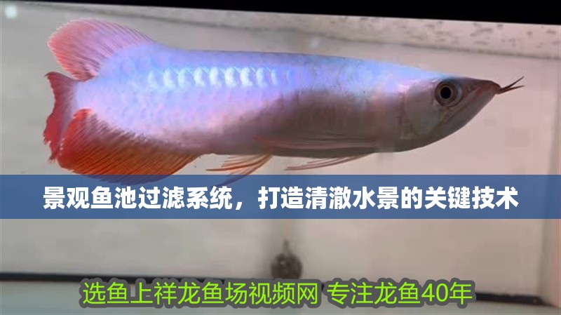 景觀魚池過濾系統，打造清澈水景的關鍵技術