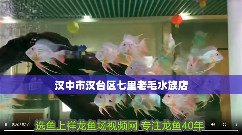 漢中市漢臺區七里老毛水族店