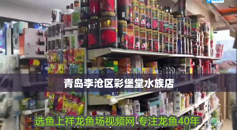 青島李滄區(qū)彩堡堂水族店