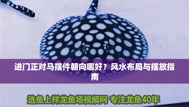 進門正對馬擺件朝向哪好？風水布局與擺放指南 進門正對馬擺件朝向哪好？風水布局與擺放指南 龍魚百科 第1張
