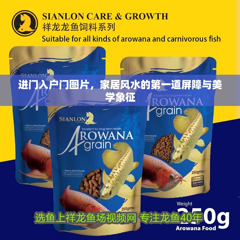 進門入戶門圖片，家居風(fēng)水的第一道屏障與美學(xué)象征 進門入戶門圖片，家居風(fēng)水的第一道屏障與美學(xué)象征 龍魚百科 第1張