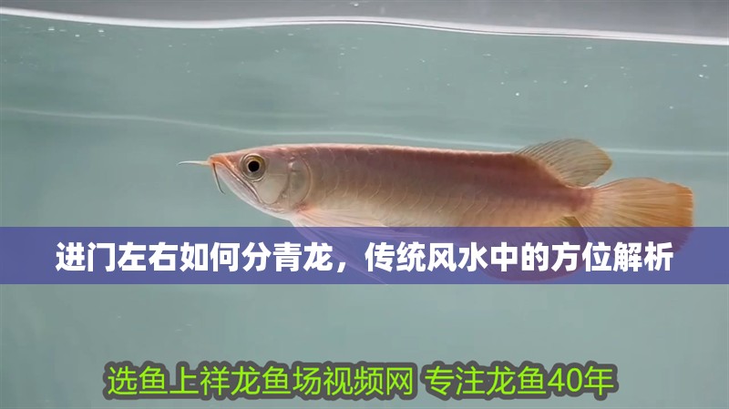 進(jìn)門左右如何分青龍，傳統(tǒng)風(fēng)水中的方位解析