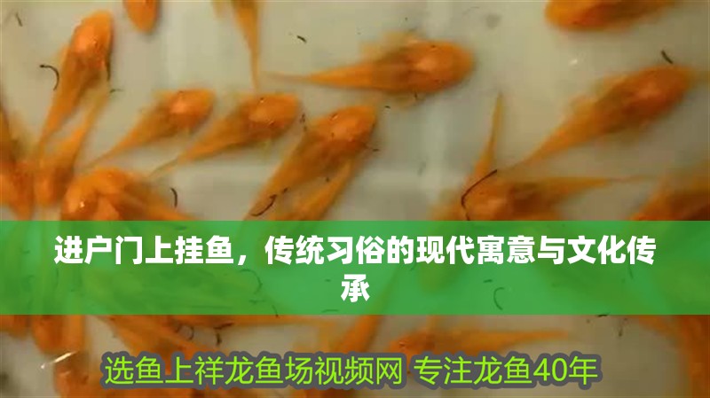 進戶門上掛魚，傳統(tǒng)習俗的現(xiàn)代寓意與文化傳承